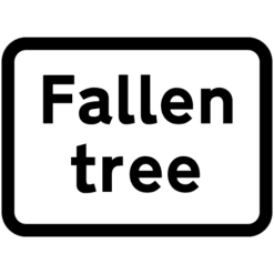 Fallen tree. Diag 563v6